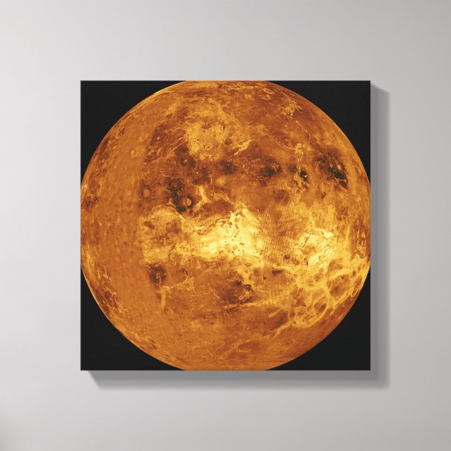 Impressão Em Tela Venus (Frente)
