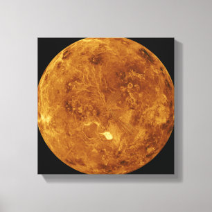 Impressão Em Tela Venus 2
