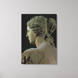 Impressão Em Tela Vênus de Milo, detalhe da parte traseira da