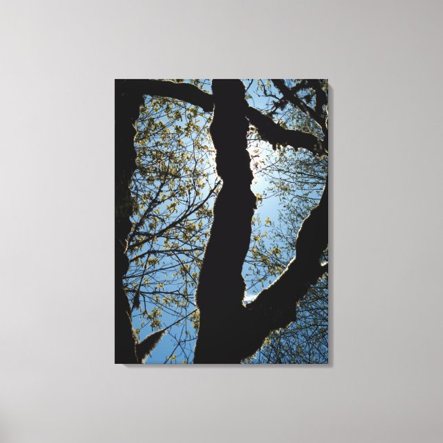 IMPRESSÃO EM TELA VER (Frente)