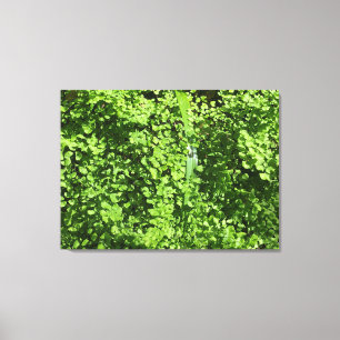 Impressão Em Tela Verdes de fevereiro
