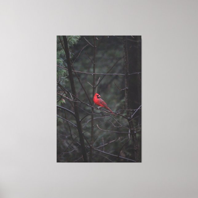 Impressão Em Tela Vermelho mágico (Frente)