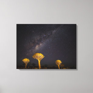 Impressão Em Tela Via Láctea Quiver Tree Keetmanshoop Namíbia