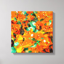 Vibrantes Flores de Bougainvillea Laranja