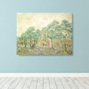 Impressão Em Tela Vincent van Gogh - Colheita de Azeitonas