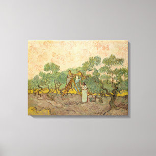 Impressão Em Tela Vincent van Gogh - Mulheres Colhendo Azeitonas