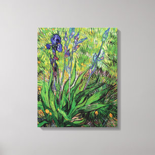 Impressão Em Tela Vincent Van Gogh - O Íris Amante da Natureza Arte 