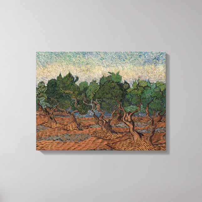Impressão Em Tela Vincent van Gogh - Olive Grove (Frente)