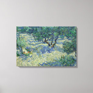 Impressão Em Tela Vincent van Gogh - Olive Orchard