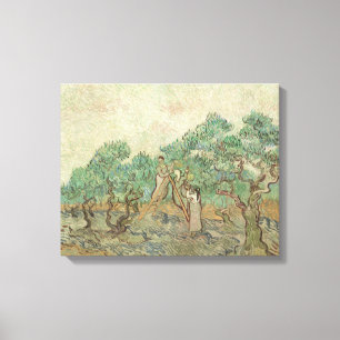 Impressão Em Tela Vincent Van Gogh  Pomar De Oliva