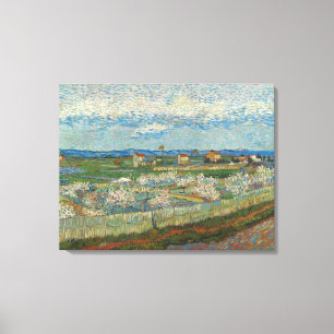 Impressão Em Tela Vincent Van Gogh Vintage Peach Treine em Blossom