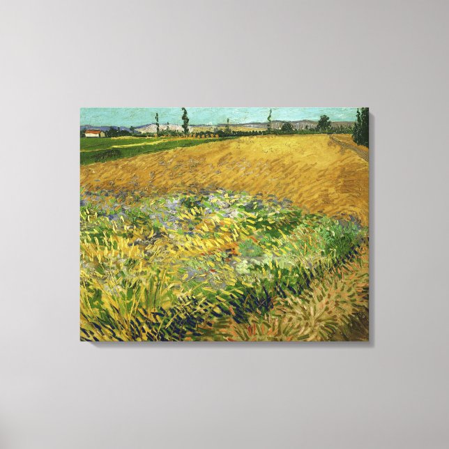 Impressão Em Tela Vincent Van Gogh Vintage Wheatfield (Frente)