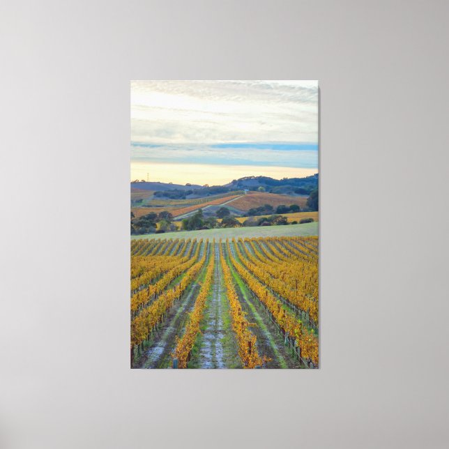 Impressão Em Tela Vineyard no Sunset (Frente)