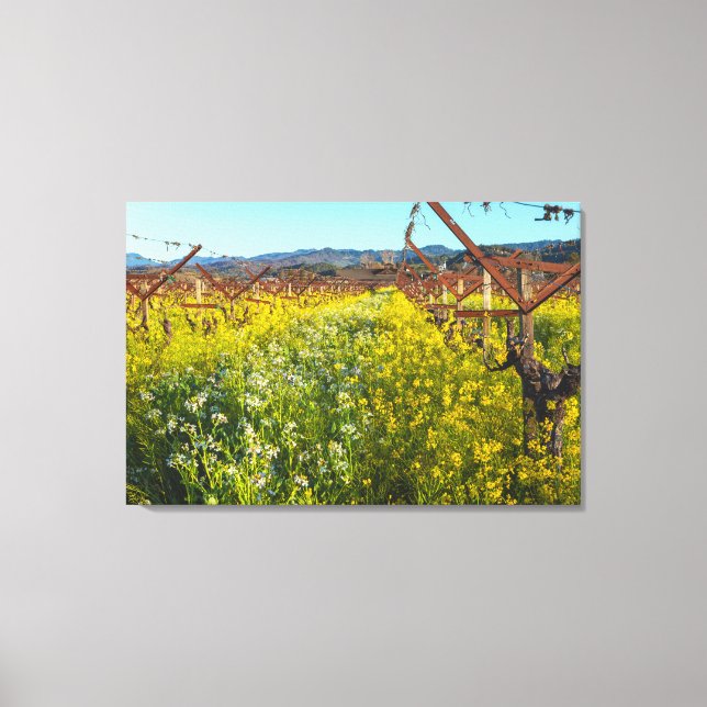 Impressão Em Tela Vinhas e Flores de Mostarda (Frente)