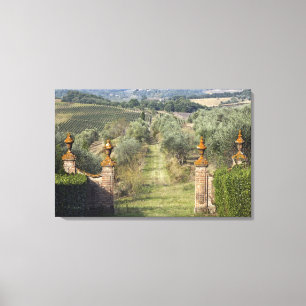 Impressão Em Tela Vinhas, Toscana, Itália