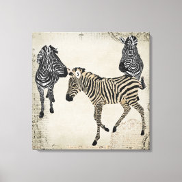 Impressão Em Tela Vintage Black & White Zebra Trio