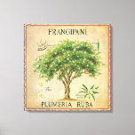 Impressão Em Tela Vintage Botaneria Plumeria Tree Art Deco<br><div class="desc">Vintage Botanical Plumeria Frangipani Tree Art Deco. Faria um adorável deco de parede para a sua cozinha ou área de jantar.</div>
