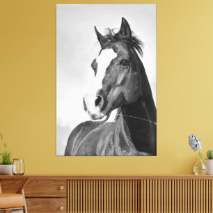 Impressão Em Tela Vintage Cavalo Espiritado Selvagem Preto e Branco