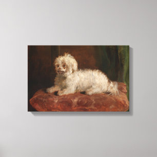 Impressão Em Tela Vintage Chico Thomas Musgrave Joy