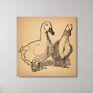 Impressão Em Tela Vintage Duck Art Two Ducks Illustration