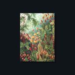 Impressão Em Tela Vintage Ernst Haeckel Moss Poster<br><div class="desc">Vintage Ernst Haeckel Moss</div>
