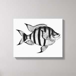 Impressão Em Tela Vintage fish sealife ocean