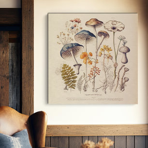 Impressão Em Tela Vintage Mushroom Naturalist
