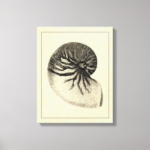 Impressão Em Tela Vintage - Shell de Conch Preto e Branco