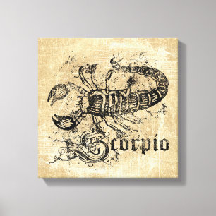 Impressão Em Tela Vintage Zodiac Scorpio