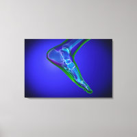 Visão De Raios X Do Pé Humano 1