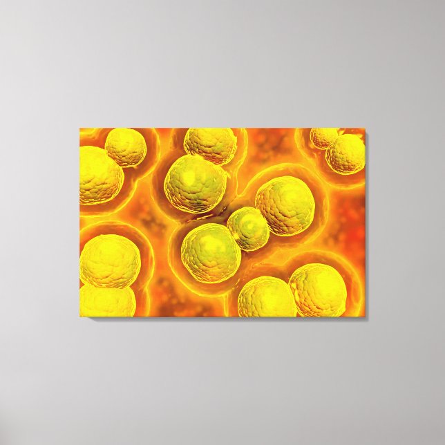 Impressão Em Tela Visão Microscópica Da Clamídia (Frente)