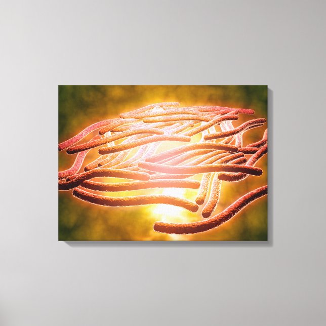 Impressão Em Tela Visão Microscópica Da Legionella Pneumophila 2 (Frente)