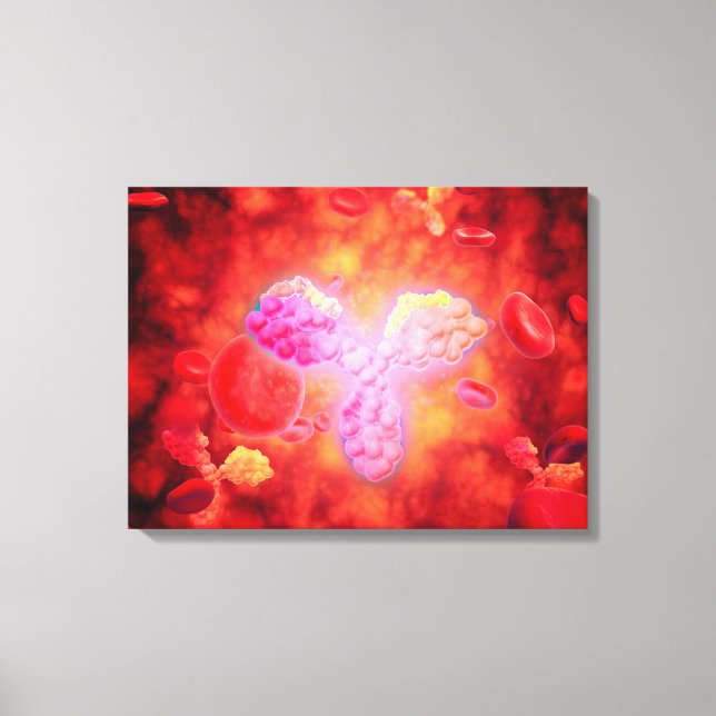 Impressão Em Tela Visão Microscópica De Anitorpos Humanos (Frente)