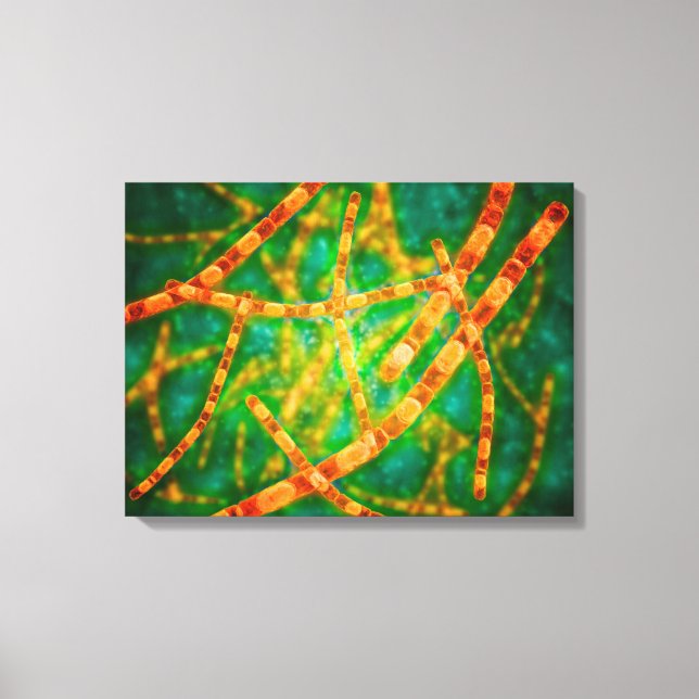 Impressão Em Tela Visão Microscópica Do Antraz 2 (Frente)