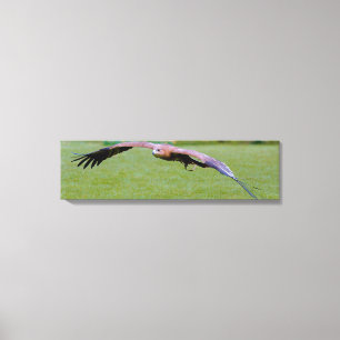 Impressão Em Tela Visão visual de pássaro sobre tela panorâmica impr