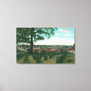 Impressão Em Tela Vista aérea da Cidade de Sebastopol, CA