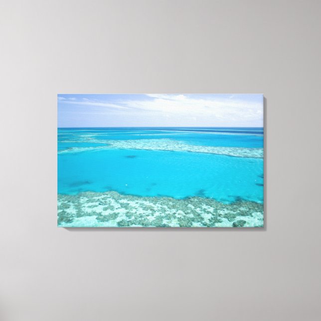 Impressão Em Tela Vista aérea do Recife da Barreira do Excelente por (Frente)