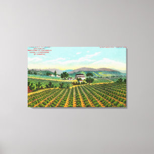 Impressão Em Tela Vista do Giersberg VineyardNapa, CA