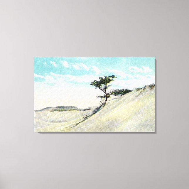 Impressão Em Tela Vista do Navio a vapor Dorothy Bradford (Frente)