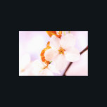 Impressão Em Tela Vista Frontal Da Flor Sakura Na Época Da Primavera<br><div class="desc">Vista frontal aproximada de quase uma flor de sakura branca contra o fundo rosa pálido e liso das flores de cereja. O conto de fadas da época do primavera. Uma pintura digital muito grande a partir de uma fotografia. Impressão floral esticada de tela para decorar seu lugar ou para ser...</div>