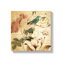 vitoriana rosa ave Paris Botânica francesa