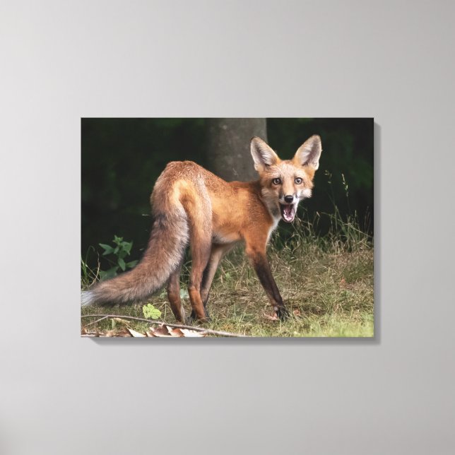 Impressão Em Tela Viva com Espírito    (Frente)