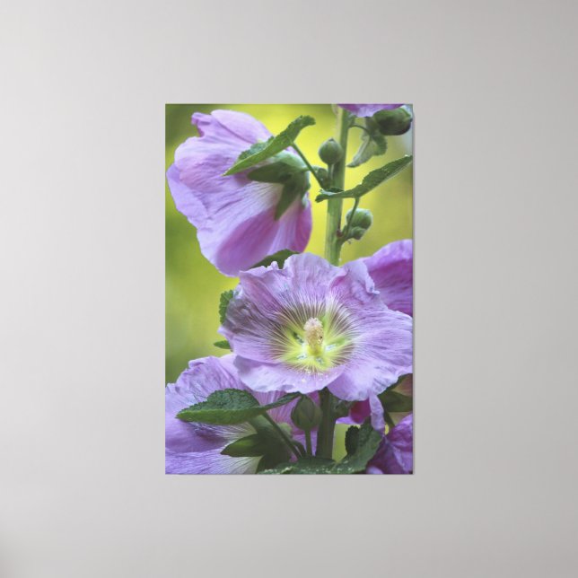 Impressão Em Tela Vivo Com O Pistachio Greens (Frente)