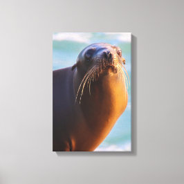 Impressão Em Tela Você É Mad Bro?