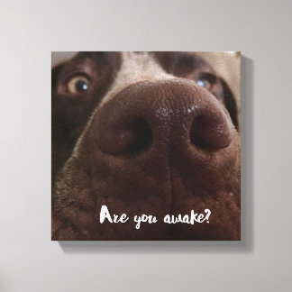 Impressão Em Tela Você Está Acordado?