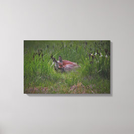 Impressão Em Tela Você não pode me ver!