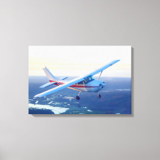 Impressão Em Tela Voo Sunset