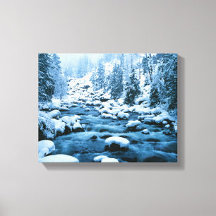 Impressão Em Tela WA, Floresta Nacional Wenatchee, Cascade