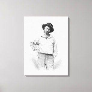 Impressão Em Tela Walt Whitman, frontispiece 'às folhas de