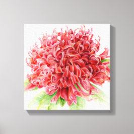 Impressão Em Tela Waratah Red Flor Botanica Art